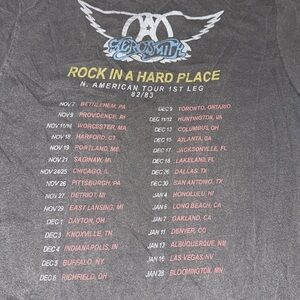AEROSMITH Concert Tour T-Shirt ROCK IN A HARD PLACE junk food brand SMALL gray